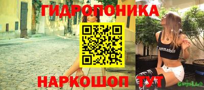 бошки Владимир