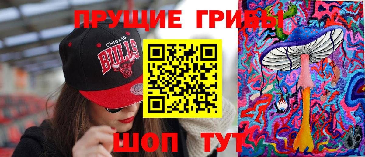 где купить наркоту  Вход с VPN  Алатырь  Галлюциногенные грибы прущие грибы 